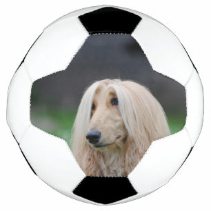 Bola De Futebol afegão-deitado