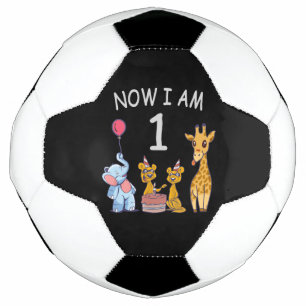 Bola De Futebol Agora tenho 1 ano de primeiro aniversario no Zoo B