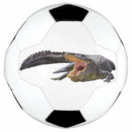Bola De Futebol Alligador americano - Vida selvagem da Flórida
