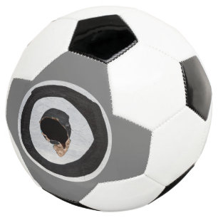 Bola De Futebol alvo rasga