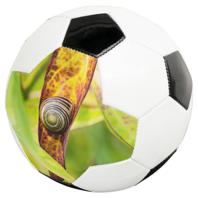 Bola De Futebol apego calmo (Três quartos)
