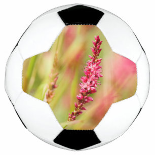Bola De Futebol arbusto de cor