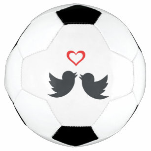 BOLA DE FUTEBOL AVES