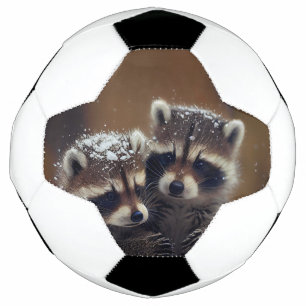 Bola De Futebol Baby Raccoons Huddle in Falling Snow