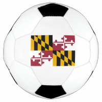 Bandeira do Estado de Maryland