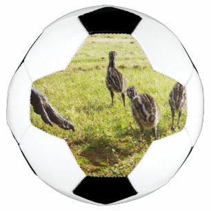 Bola De Futebol Bebê Pintinhos Emu E Pé Grande,