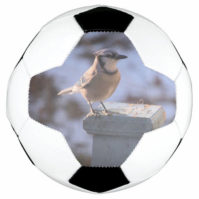Bola De Futebol Blue Jay (Frente)