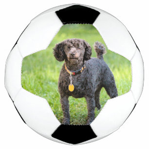 Bola De Futebol Bonjour