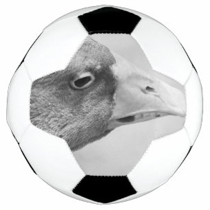Bola De Futebol BW Goose