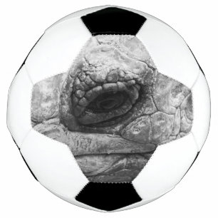 Bola De Futebol BW Tortoise