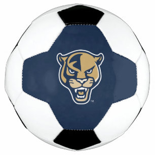 Bola De Futebol Cabeça de Pantera FIU