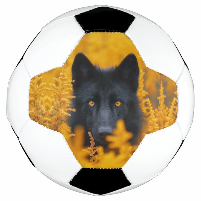 Bola De Futebol Cachorro Negro com Olhos Ouro Incríveis (Frente)