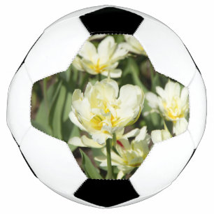 Bola De Futebol Campo de tulipas brancas Foto