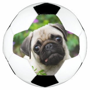Bola De Futebol Cãozinho de pelúcia