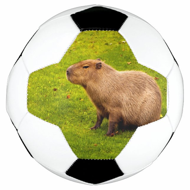 Bola De Futebol Capivara (Frente)