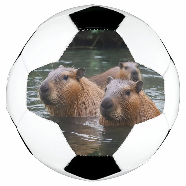 Bola De Futebol Capybaras Nadando No Rio, (Frente)