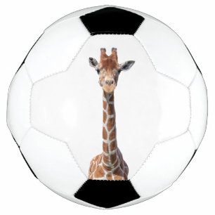 Bola De Futebol Cara de girafa bonita