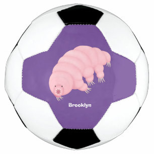Bola De Futebol Cartografia de ursos-d'água, cor-de-rosa-branca,