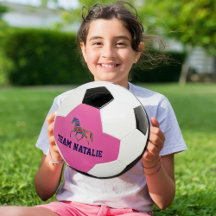 Cavalo Arco-íris - o nome da sua equipe