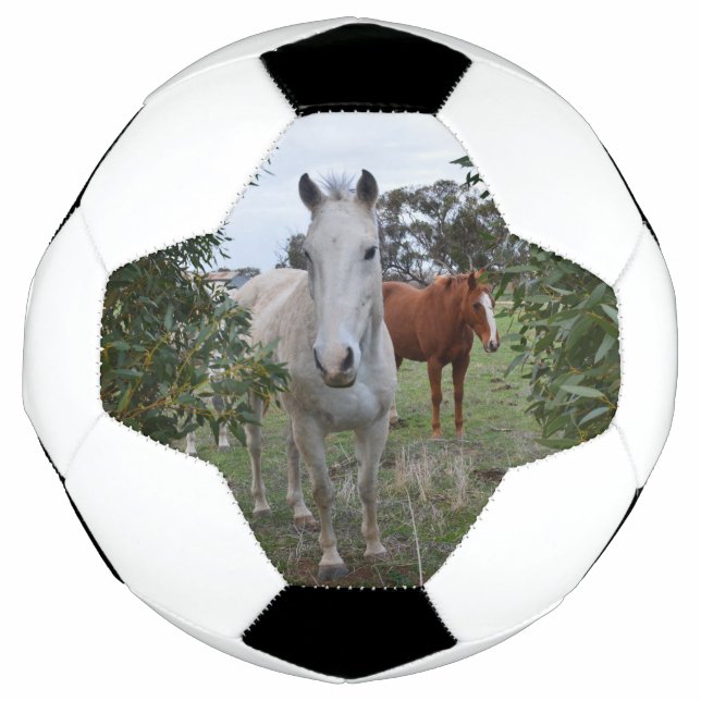 Bola De Futebol Cavalos de Peekaboo, Soccerball (Frente)
