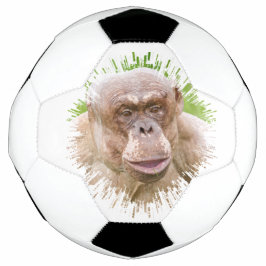 Bola De Futebol Chimpanzé sem Cabelos