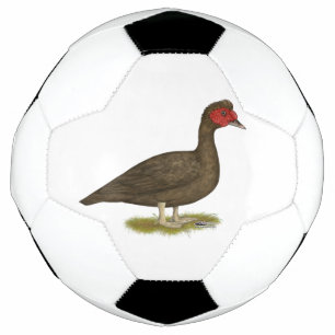 Bola De Futebol Chocolate Muscovy Drake