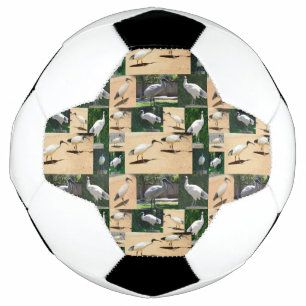 Bola De Futebol Crônicas de frango caixa: Colagem Fotográfica Dos 