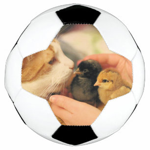 Bola De Futebol Cuecas