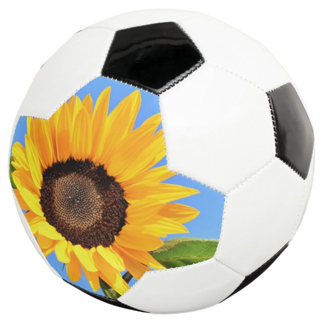 Bola de Futebol de Girassol (Três quartos)