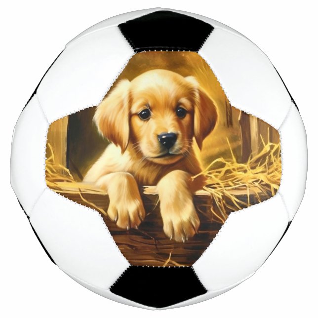 Bola de Futebol de Troféu Personalizada (Frente)