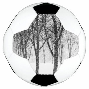 Bola De Futebol Enquanto eu lado com árvores
