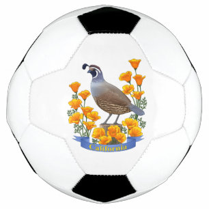 Bola De Futebol Estado da Califórnia - Pássaro Quail & Ouro Poppy