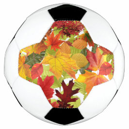 Bola De Futebol Folhas de outono do outono
