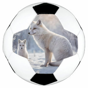 Bola De Futebol "Fosco Bonds: A Raposa Ártica e seu Cubo"