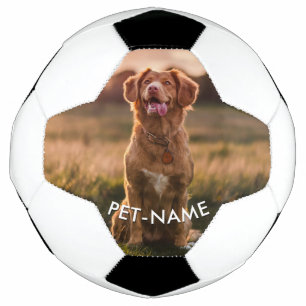 Bola De Futebol Foto Personalizada Com O Nome Do Seu Cachorro
