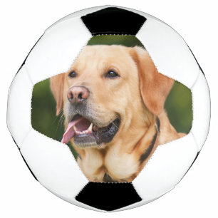 Bola De Futebol Foto Pet Personalizada