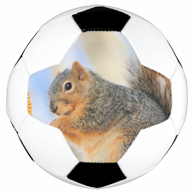 Bola De Futebol Furball de hoje (Frente)