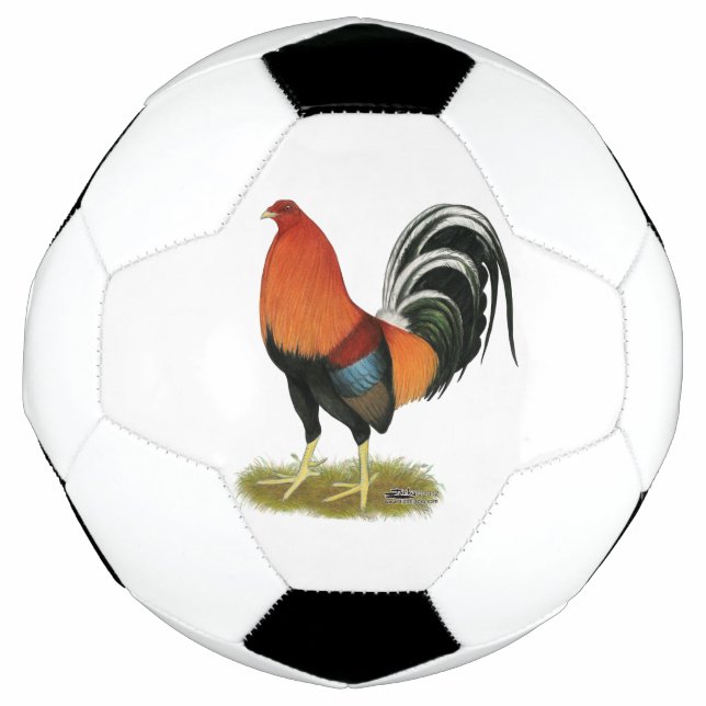 Bola De Futebol Gamecock Wheaten Rooster (Frente)