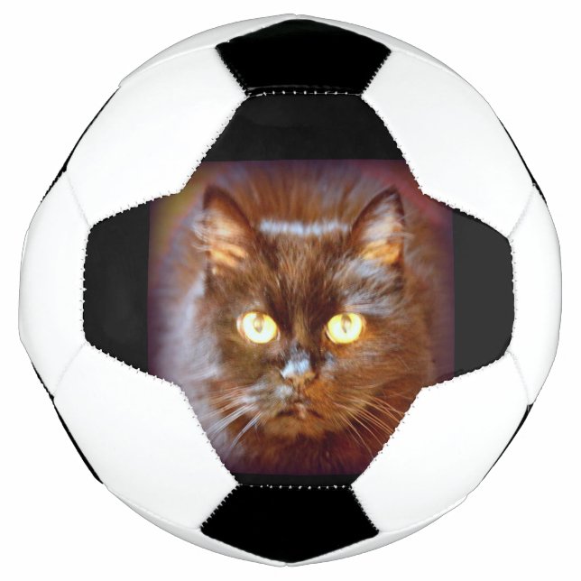 Bola De Futebol gato preto (Frente)