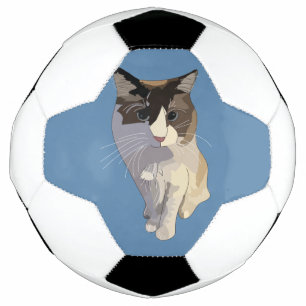 Bola De Futebol Gato Ragdoll, Azul Empoeirado