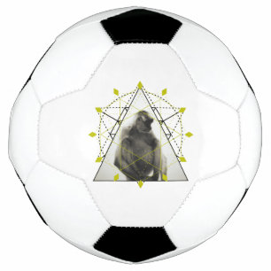 Bola De Futebol Geometria do macaco