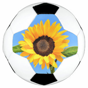 Bola De Futebol Girassol Amarelo contra Sol no Céu Azul - Verão 