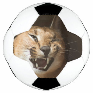 Bola De Futebol Goofy Lynx
