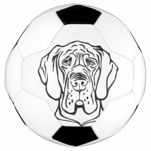 Bola de Futebol Great Dane