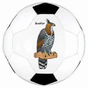 Bola De Futebol ilustração do desenho animado de aves de águia-orn