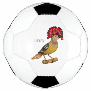Bola De Futebol Imagem de desenho animado real de aves apanhadoras