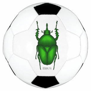Bola De Futebol Imagem do inseto Mecynorhina torquata