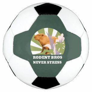 Bola De Futebol Irmãos Roedores Nunca Estrese Capivara