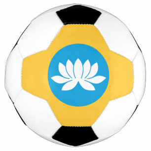 Bola De Futebol Kalmykia Flag