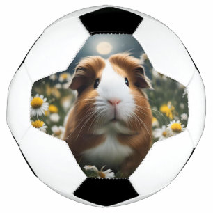 Bola De Futebol Lua E Visitas De Porco Castanho E Guiné Branca,
